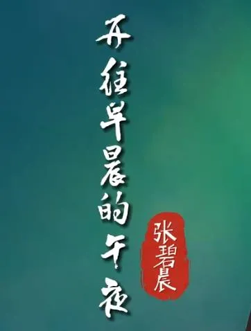 开往早晨的午夜mv