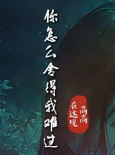 你怎么舍得我难过mv